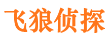 启东市私家侦探